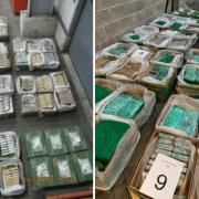 The cocaine was hidden in 41 pallets of bananas