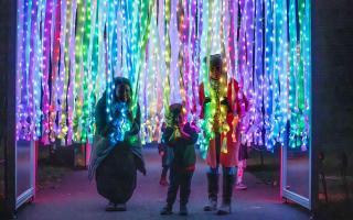 Christmas at Kew has been running since 2013 and is now a much anticipated fixture of London's festive calendar.