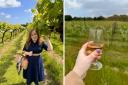 There’s a brand new wine tour tailored for groups and parties – and it celebrates the best of West Sussex wine.