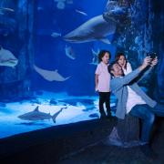 The Merlin Entertainments multi attraction pass allows visitors to choose five of London's attractions over a 90 day period and get up to 50% off