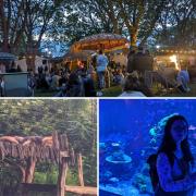 The Zoo nights will run every Friday from June 7 to July 26, 2024